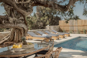 Ammolofos Luxury Apartment & suites